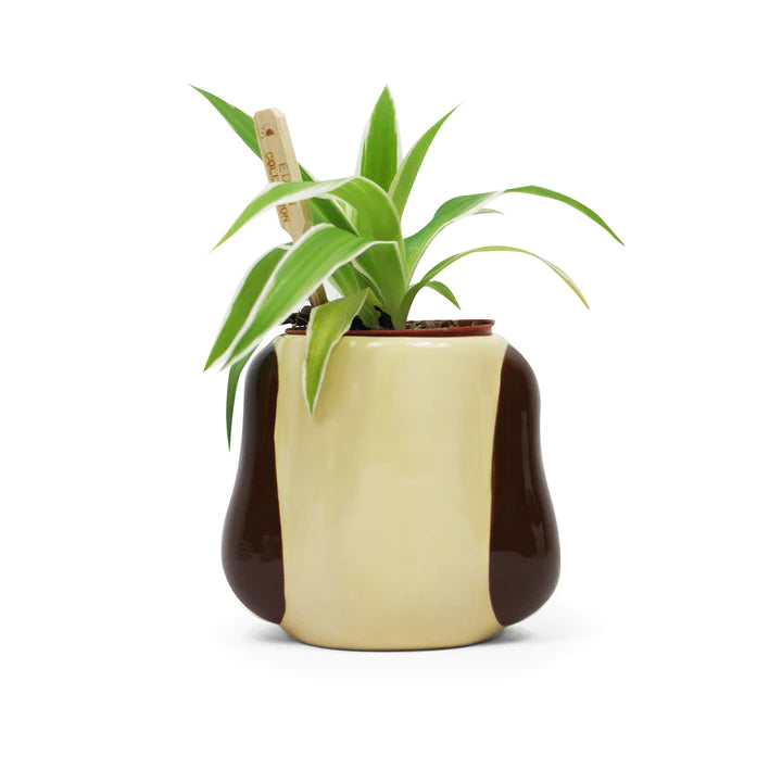 Gromit Shape Plant Pot