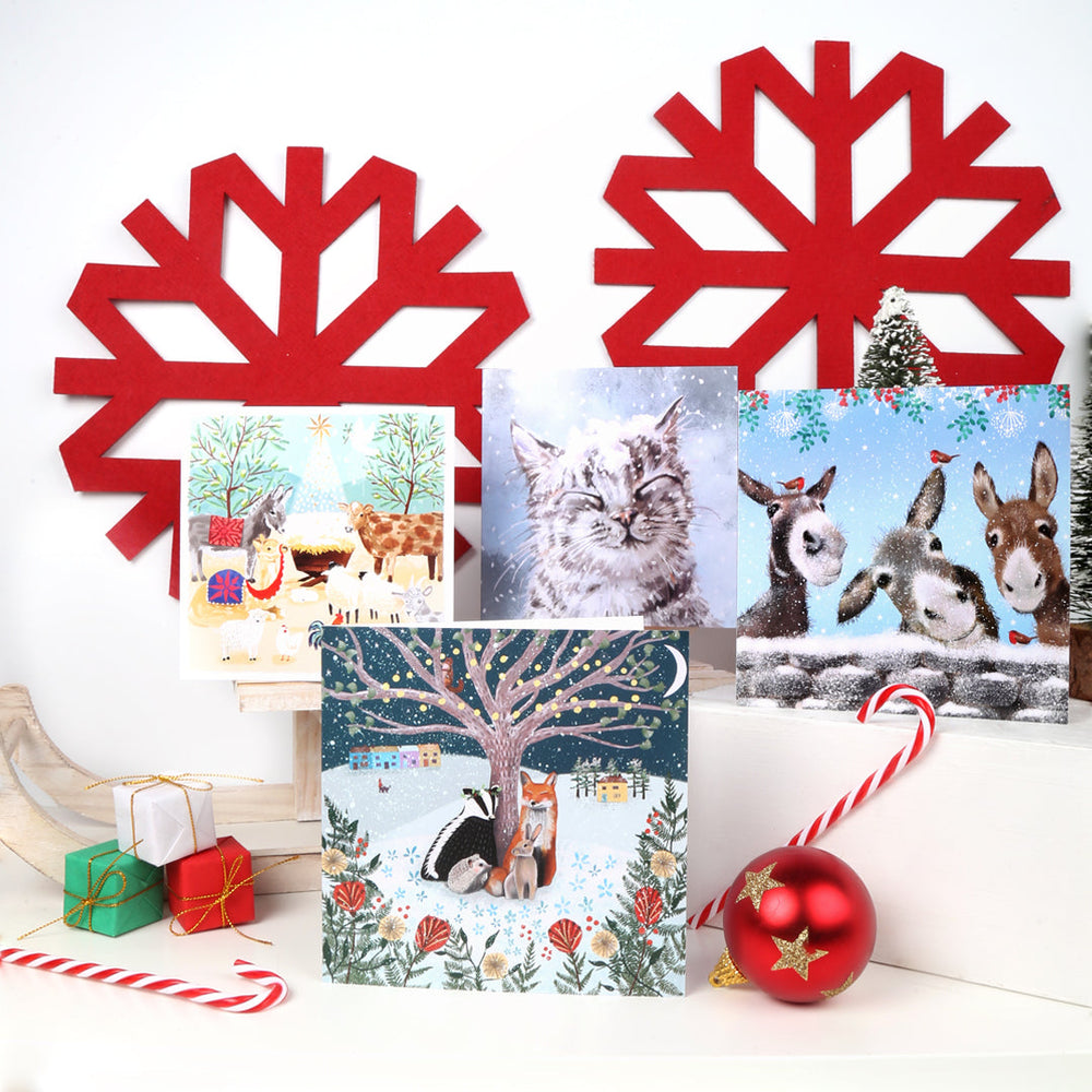 Trio of Donkies Charity Christmas Card Packs