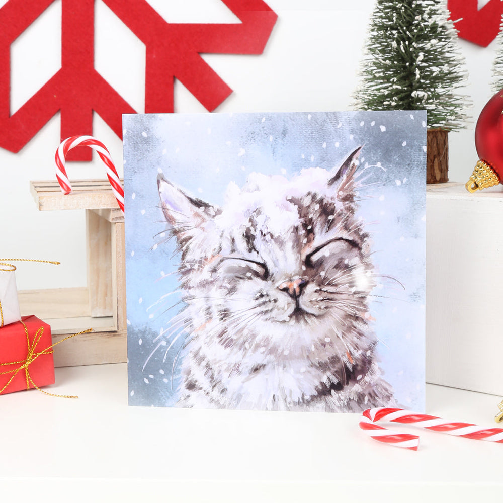 Snowy Cat Charity Christmas Card Packs